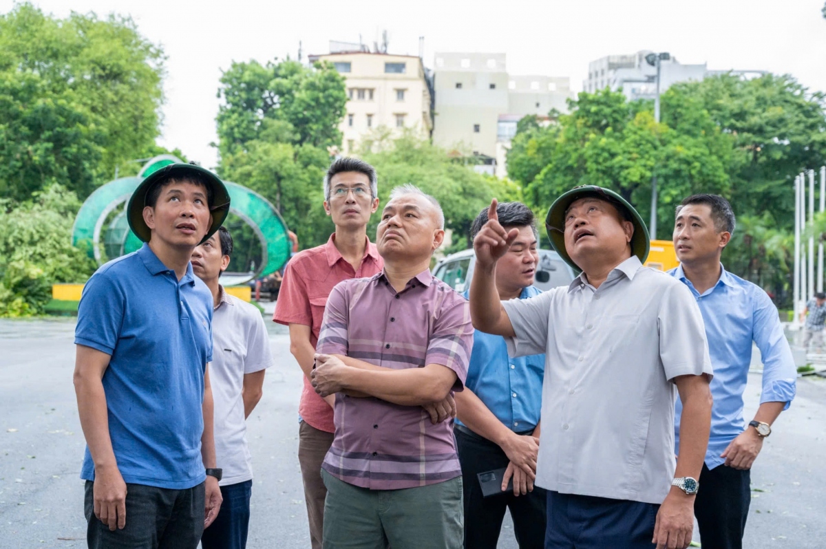 chu tich ha noi co gang giu, trong lai nhung cay xanh tram tuoi bi do do bao so 3 hinh anh 2