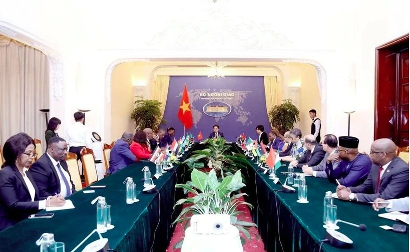 vietnam, africa need to make breakthroughs in bilateral ties picture 1