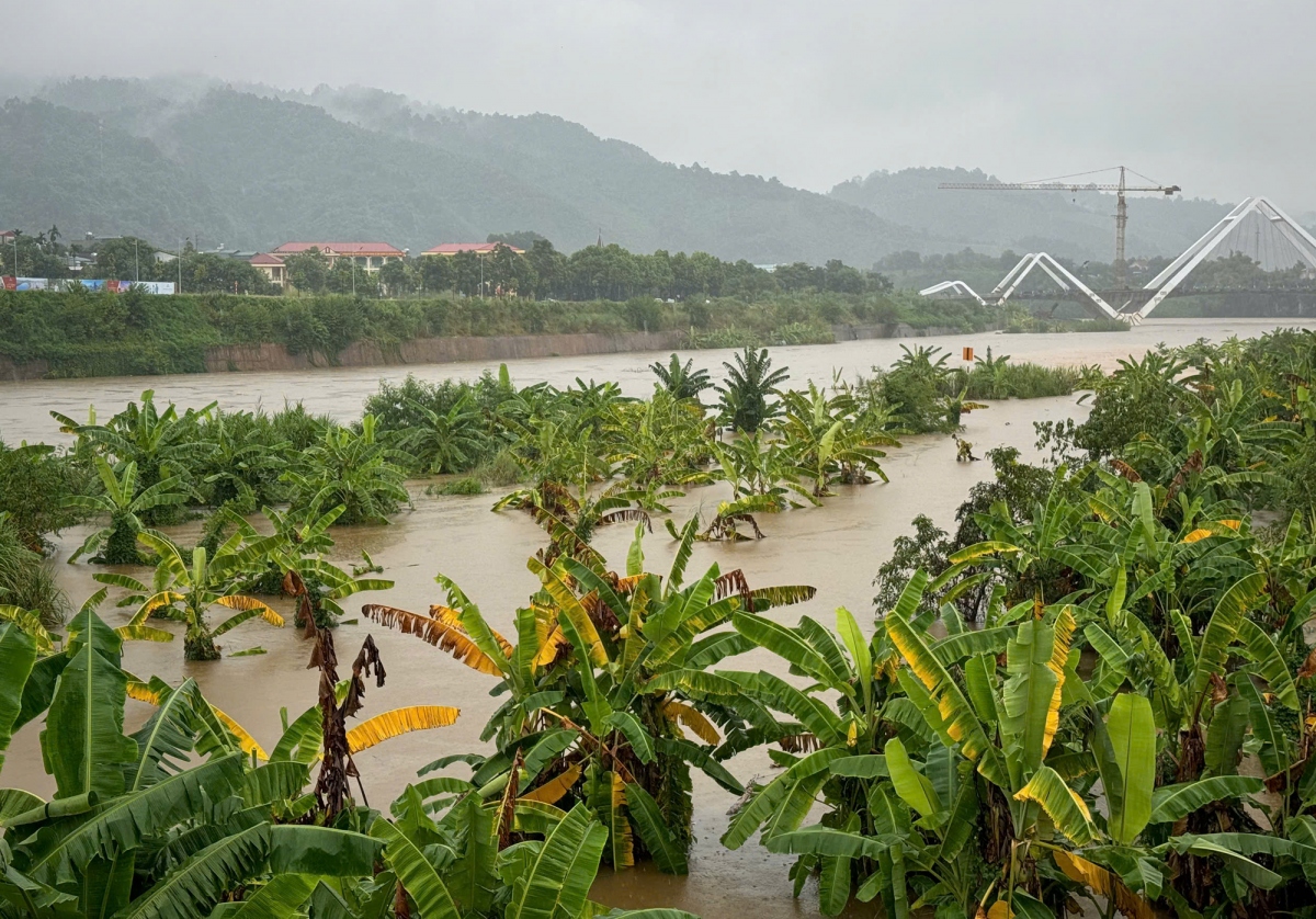 lao cai cho hoc sinh nghi hoc tu ngay 9 9 de phong chong lu, sat lo dat hinh anh 1