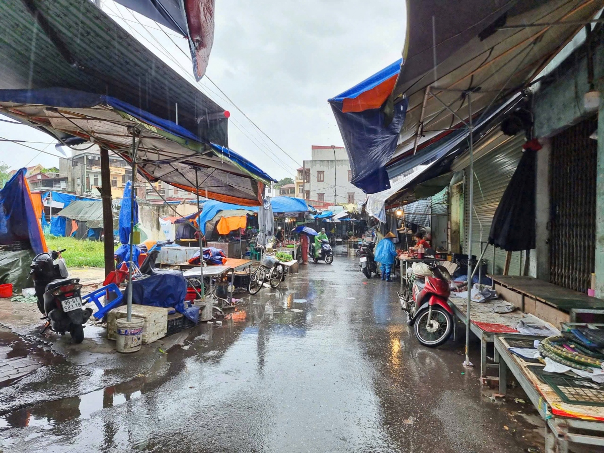 truc tiep bao so 3 dang tren dat lien quang ninh, hai phong, giat cap 16 hinh anh 169