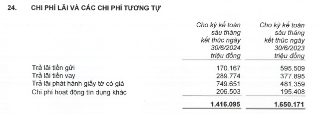 evnfinance cac chi so tich cuc trong bao cao tai chinh soat xet ban nien 2024 hinh anh 4