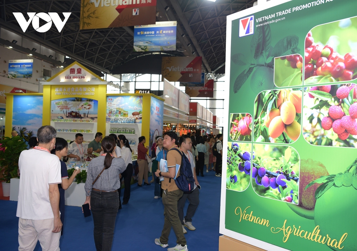 vietnamese pavilion impresses visitors at 21st china-asean expo picture 4