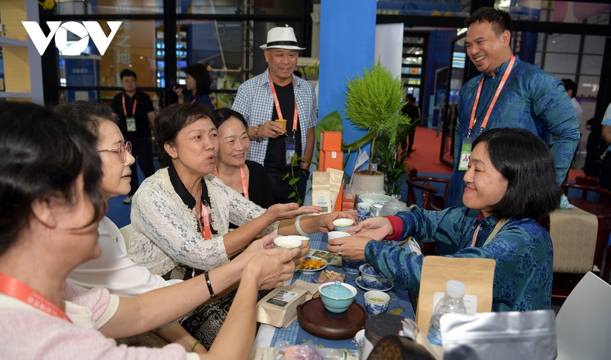 vietnamese pavilion impresses visitors at 21st china-asean expo picture 6