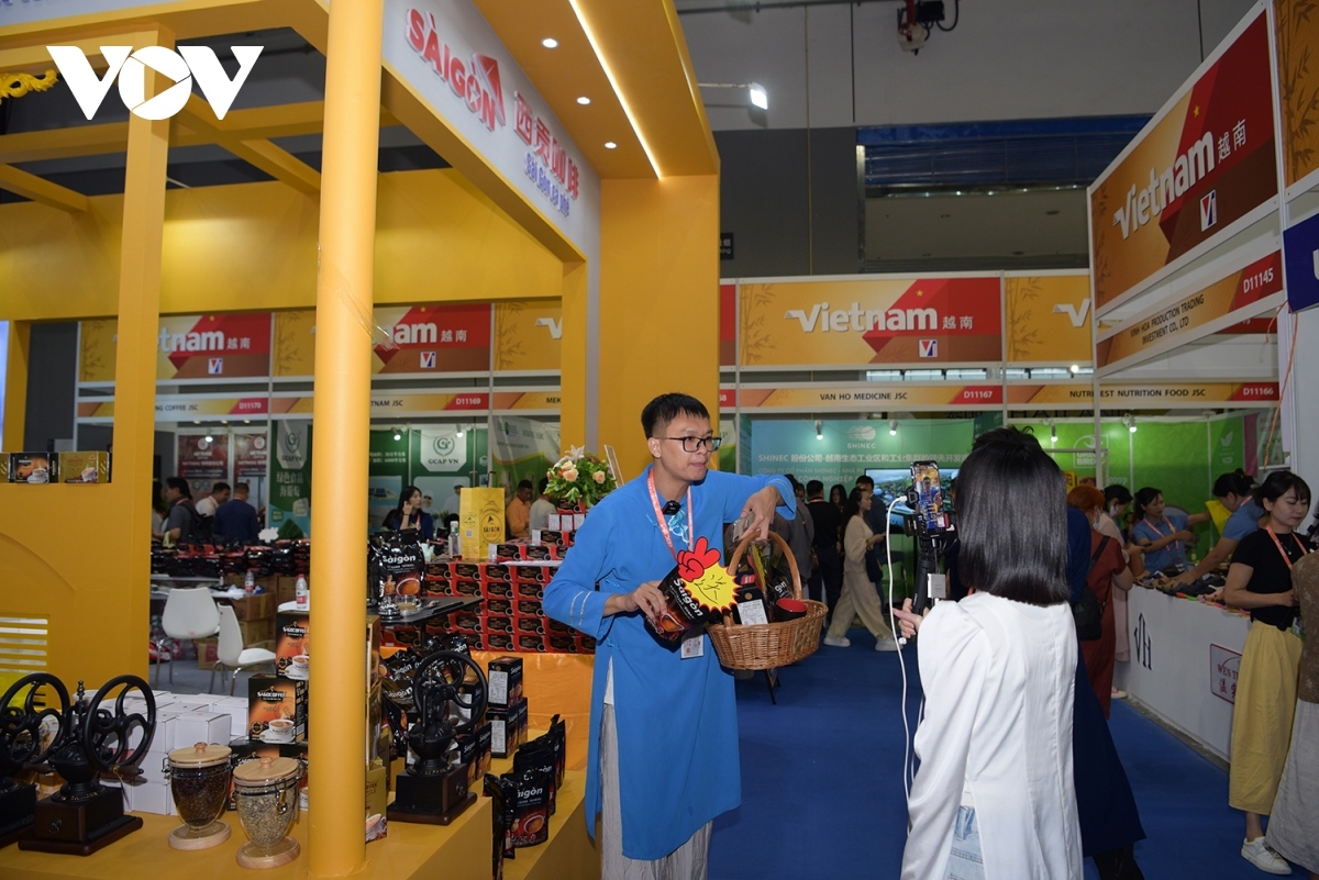 vietnamese pavilion impresses visitors at 21st china-asean expo picture 7