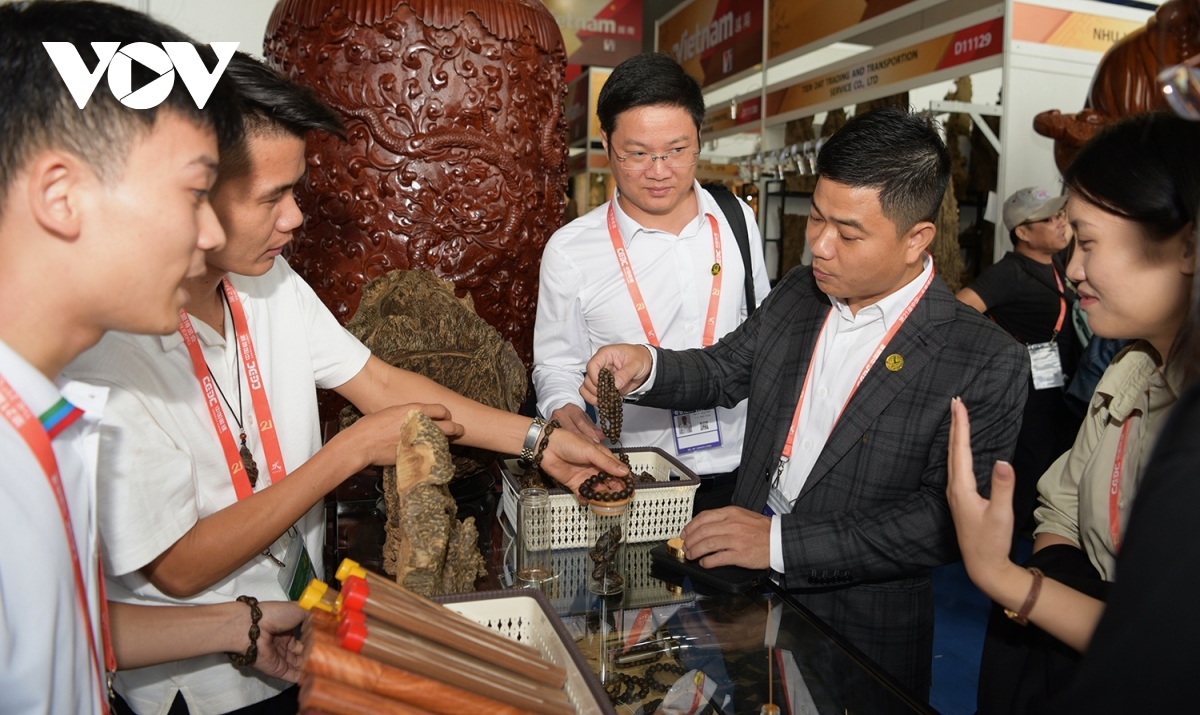 vietnamese pavilion impresses visitors at 21st china-asean expo picture 9