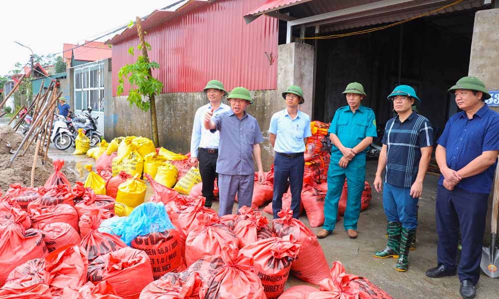 bac giang kiem tra xu ly nhanh, kip thoi cac su co ve de dieu hinh anh 2