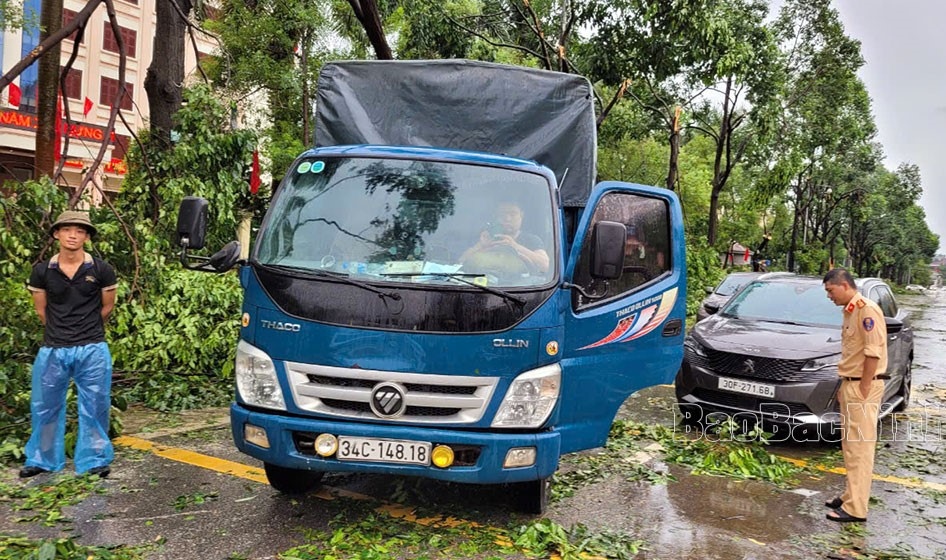 Bắc Ninh phát hiện đối tượng khai thác trái phép cây đổ do bão số 3