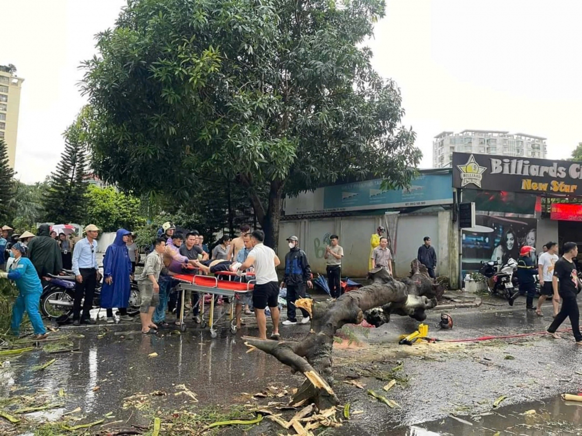 mua dong quat do cay de chet 1 phu nu o ha noi hinh anh 3