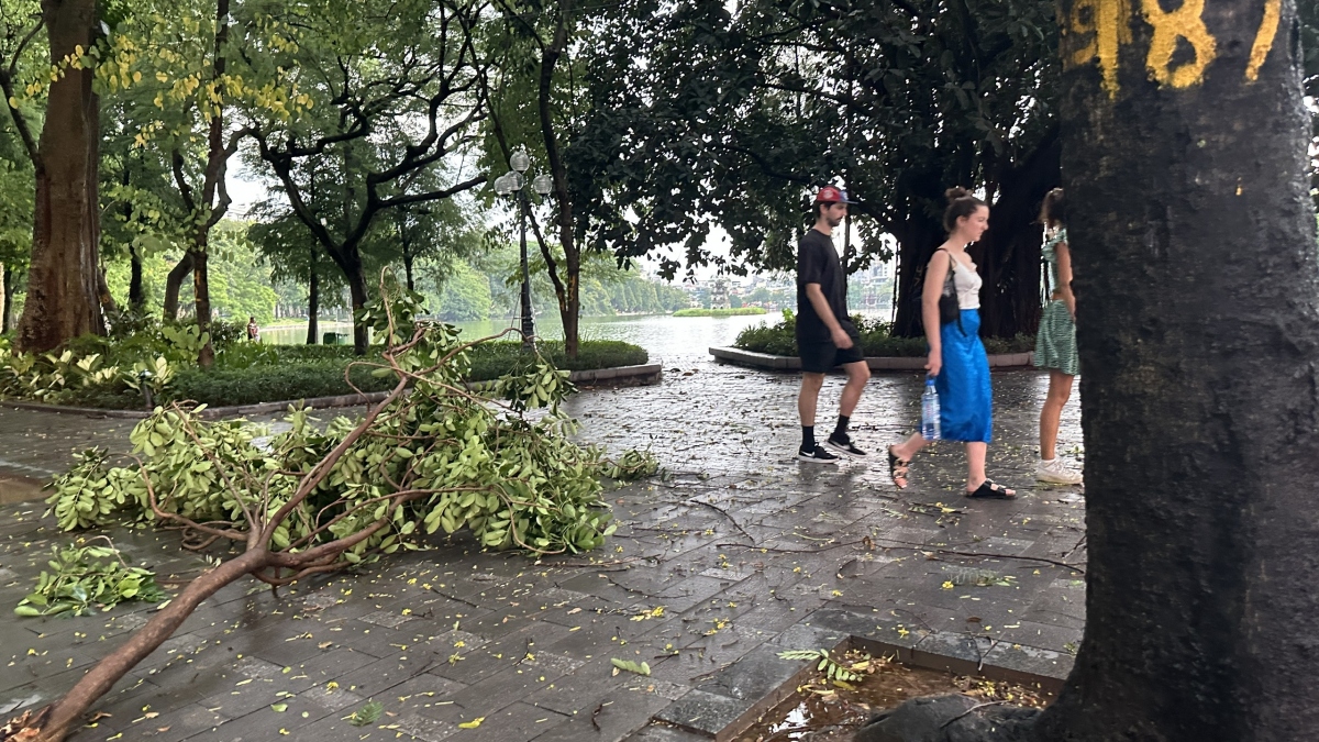 mua dong quat do cay de chet 1 phu nu o ha noi hinh anh 11