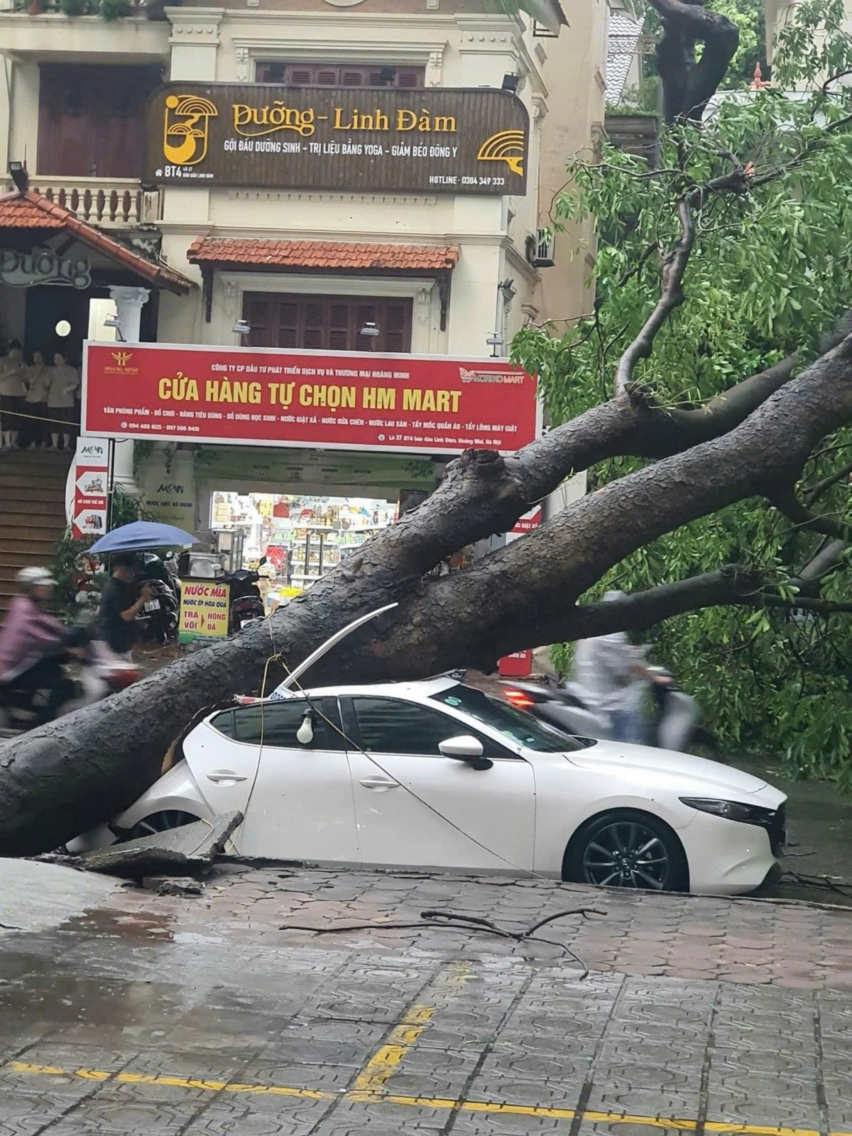 mua dong quat do cay de chet 1 phu nu o ha noi hinh anh 4