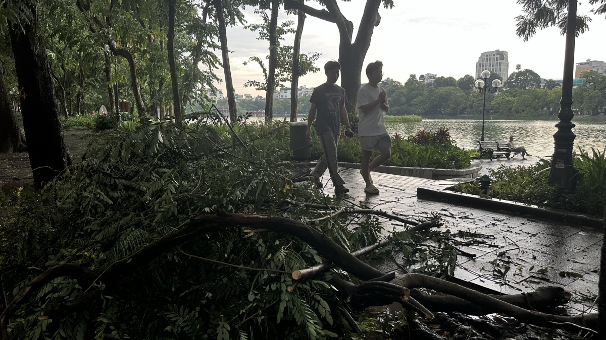 mua dong quat do cay de chet 1 phu nu o ha noi hinh anh 10