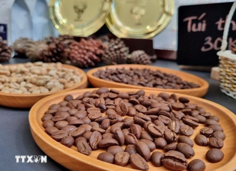 New freeze-dried instant coffee factory to be built in Binh Dinh province