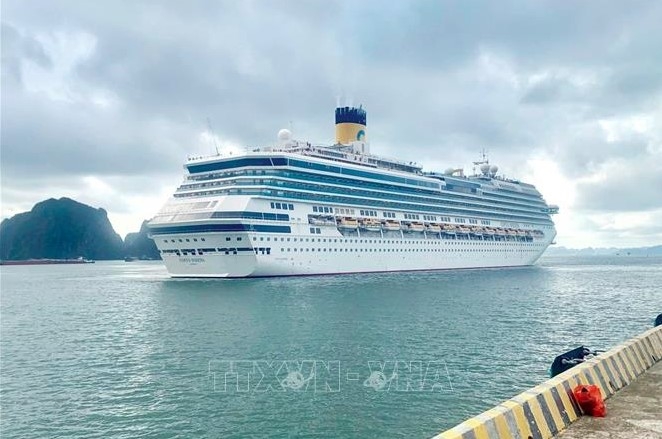 cruise ship brings 2,000 foreign tourists to ha long bay picture 1