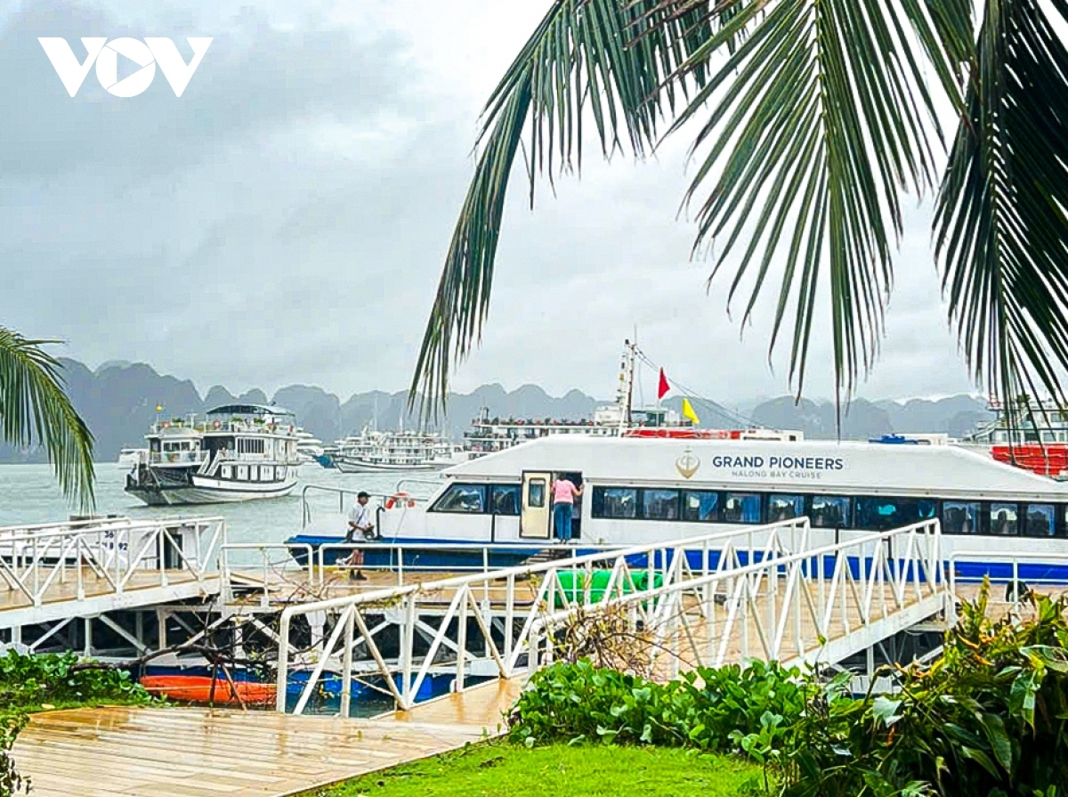 international tourists return to ha long bay after yagi dissipates picture 1