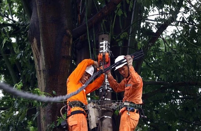 Electricity supply resumed to over 4.8 million customers affected by typhoon