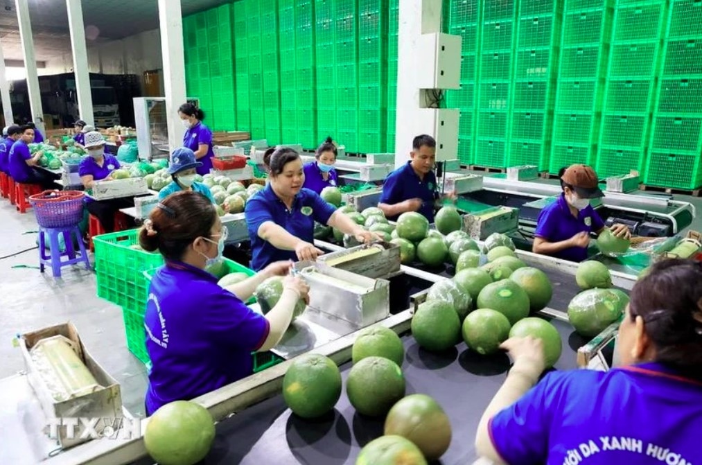 new markets help fruit exports grow to record revenues picture 1