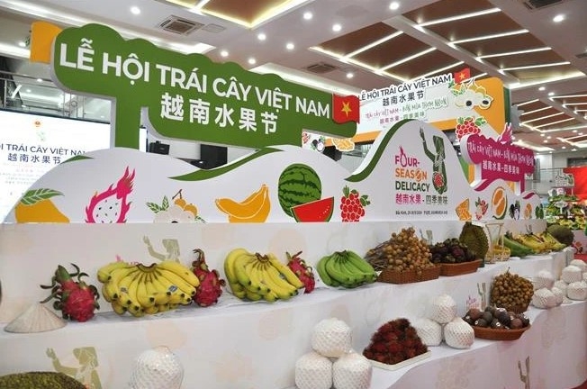 first vietnam fruit festival opens in china picture 1