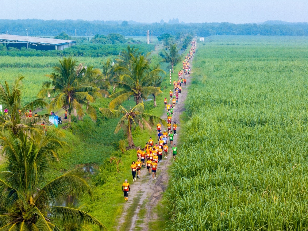 ttc agris - power racing - giai chay lan toa loi song xanh hinh anh 1