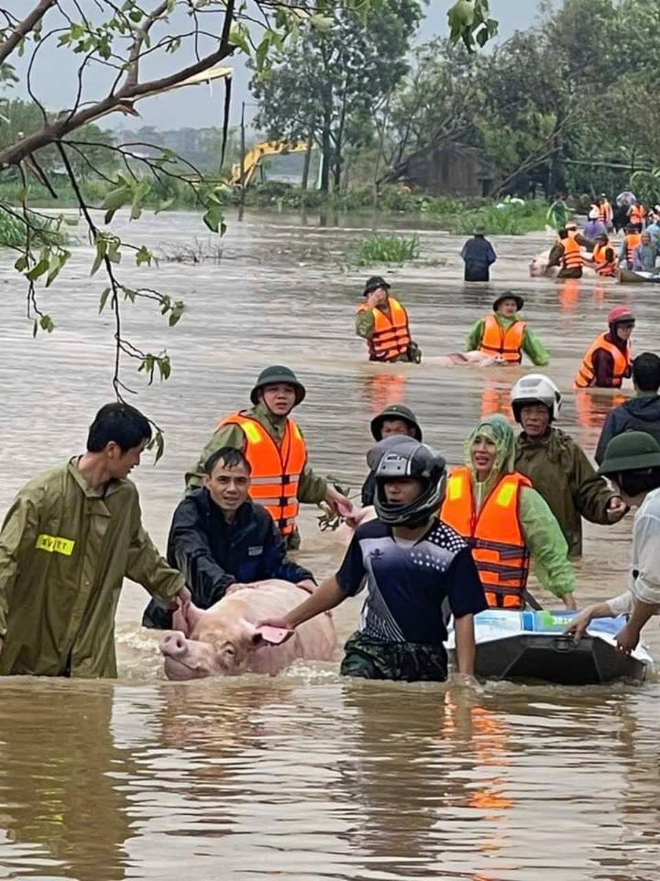 bo cong an san sang tang cuong luc luong cuu nan, cuu ho o vung lu hinh anh 3