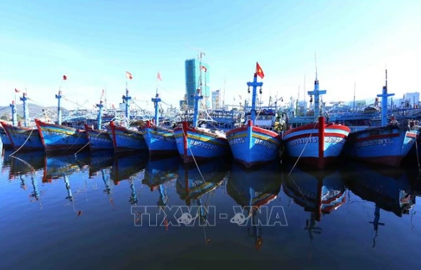 Binh Dinh provides financial support for VMS installation to combat IUU fishing