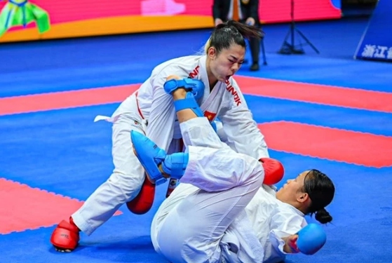 Vietnam win golds, placed second in Asian karate championships