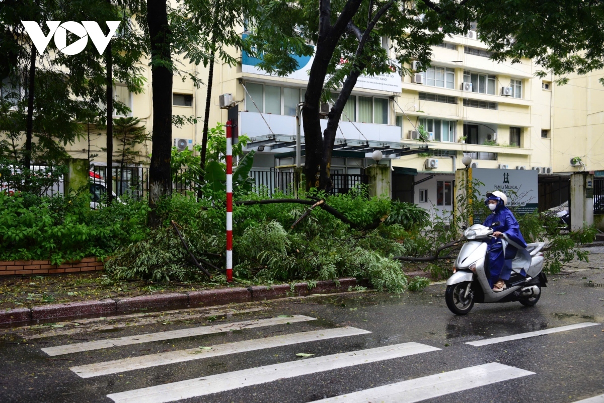 Ung pho bao so 3, chu tich ha noi khuyen cao nguoi dan khong ra khoi nha hinh anh 1