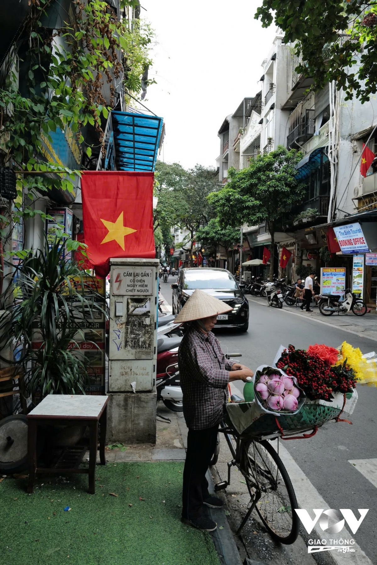 co do sao vang ruc ro trong nang mua thu ha noi hinh anh 23