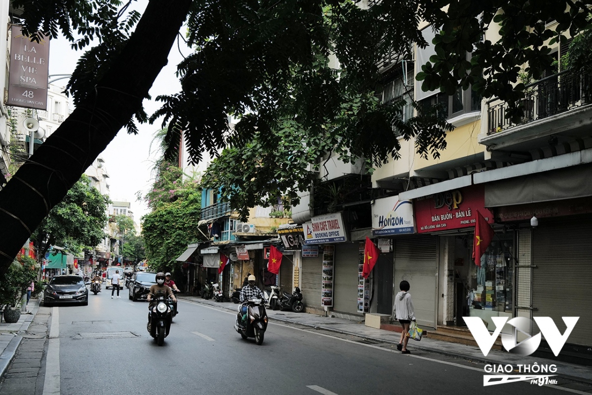 co do sao vang ruc ro trong nang mua thu ha noi hinh anh 19