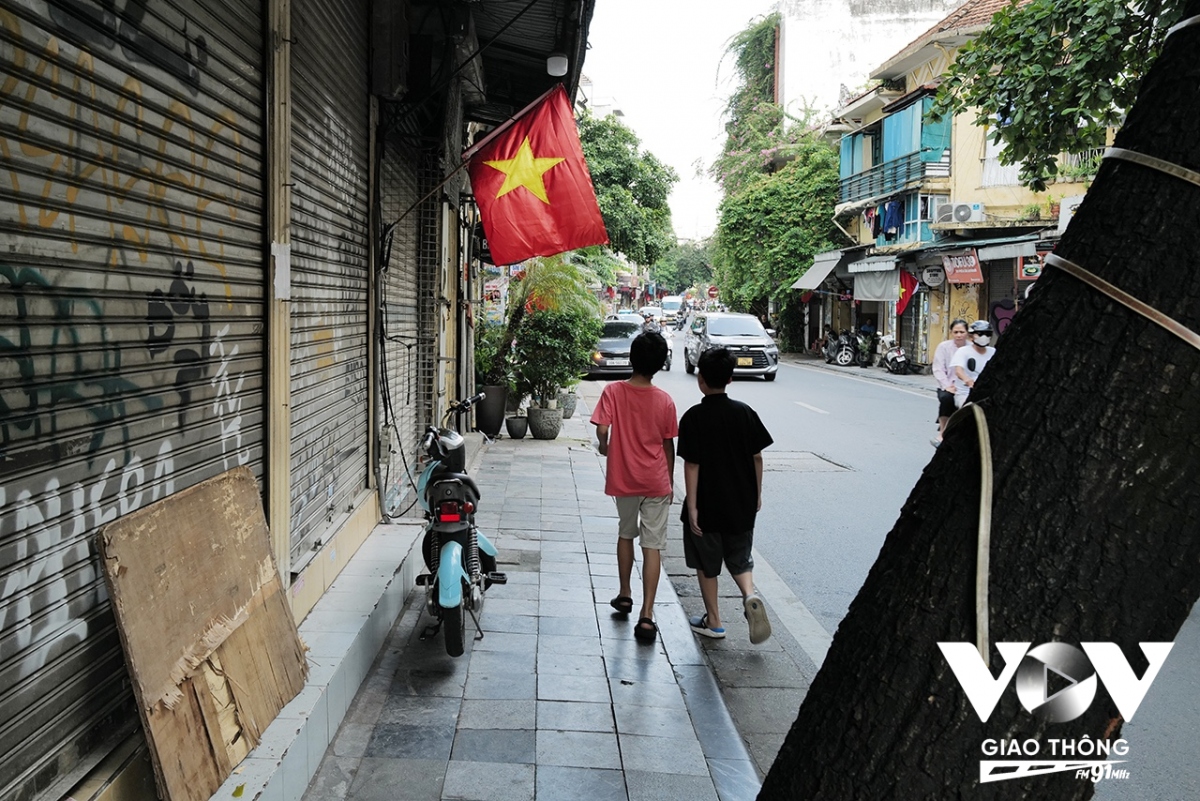 co do sao vang ruc ro trong nang mua thu ha noi hinh anh 20