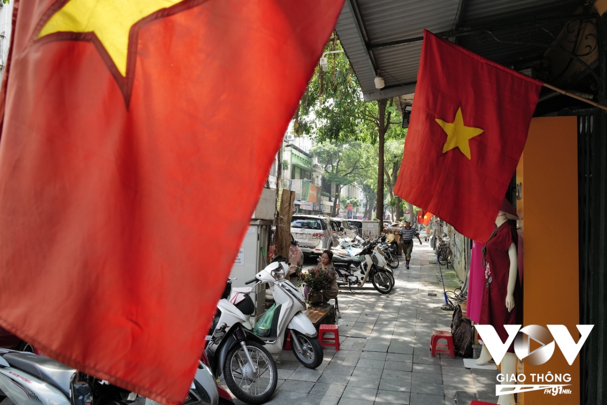 co do sao vang ruc ro trong nang mua thu ha noi hinh anh 26