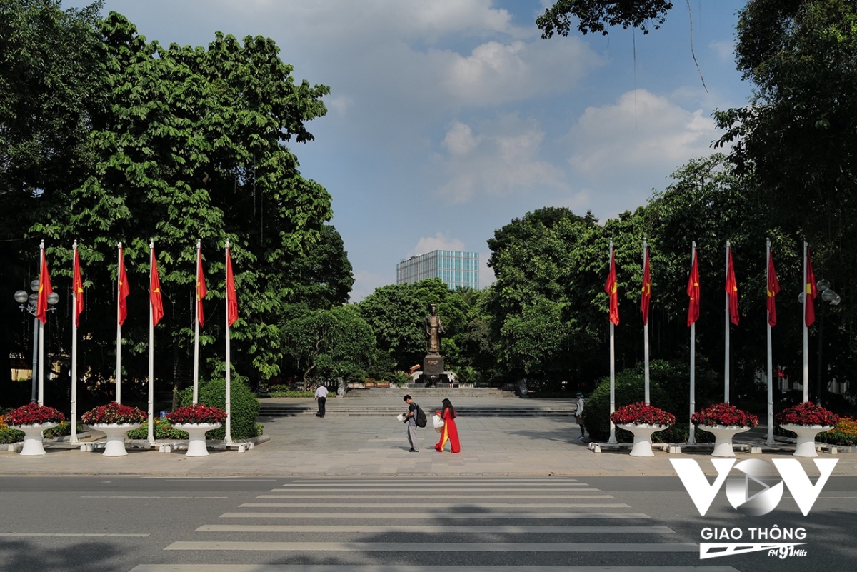 co do sao vang ruc ro trong nang mua thu ha noi hinh anh 7