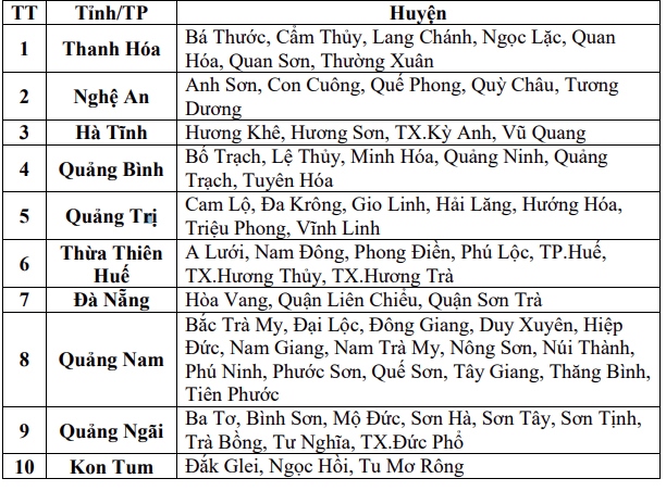 我的办公室女总裁最新章节