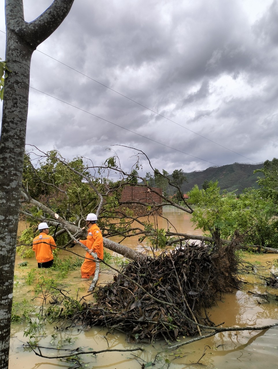 evnnpc nhieu dia phuong duoc cap dien tro lai trong ngay hom nay hinh anh 4