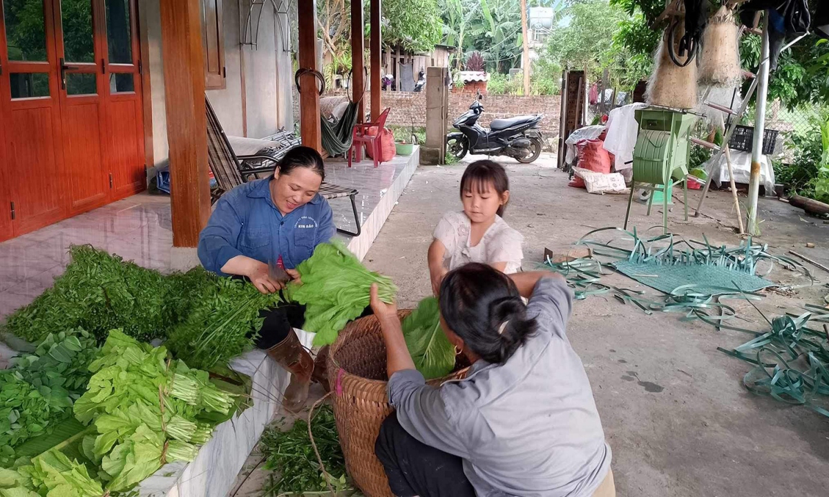 cuoi tuan khong nghi o vung ron lu nam cuong, bac kan hinh anh 2