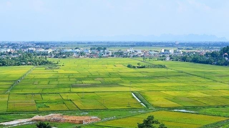 nguyen tac boi thuong ho tro nguoi dan khi nha nuoc thu hoi dat hinh anh 1