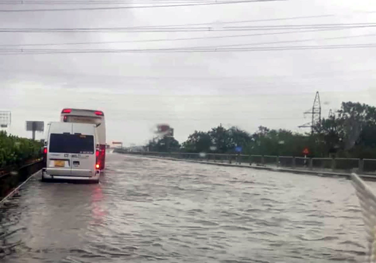 cao toc phap van - cau gie ngap sau, nguoi dan di huong nao hinh anh 9