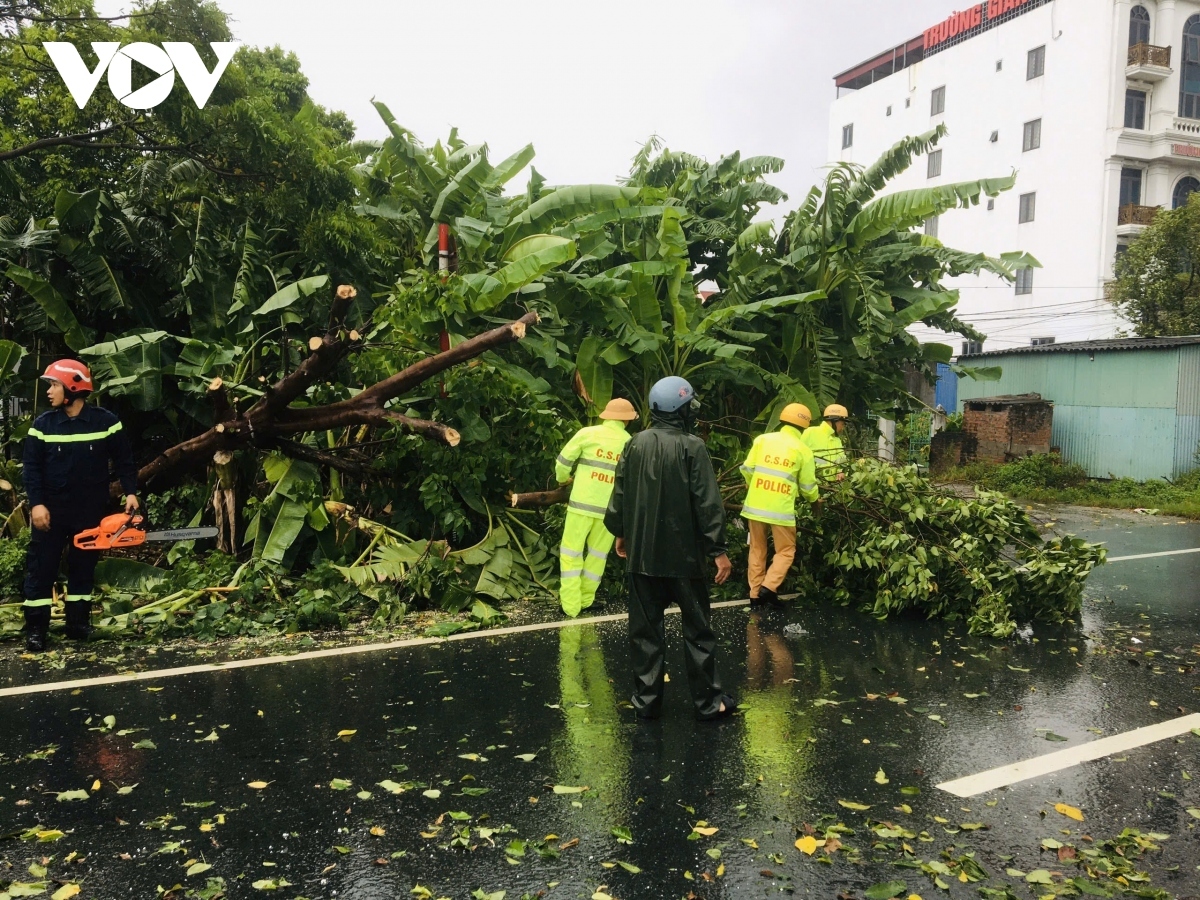 yagi blasts mainland with winds gusting 150kph picture 3