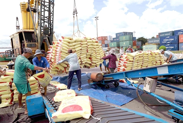 vietnam likely earn us 5 billion from rice exports this year picture 1