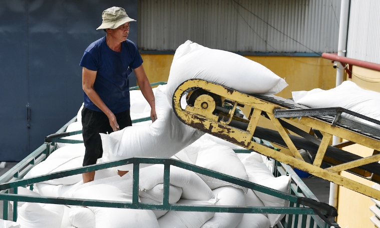 VN gets big orders for rice from Southeast Asian countries