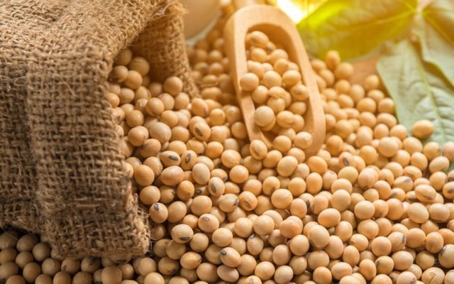 three major soybean suppliers to vietnam picture 1