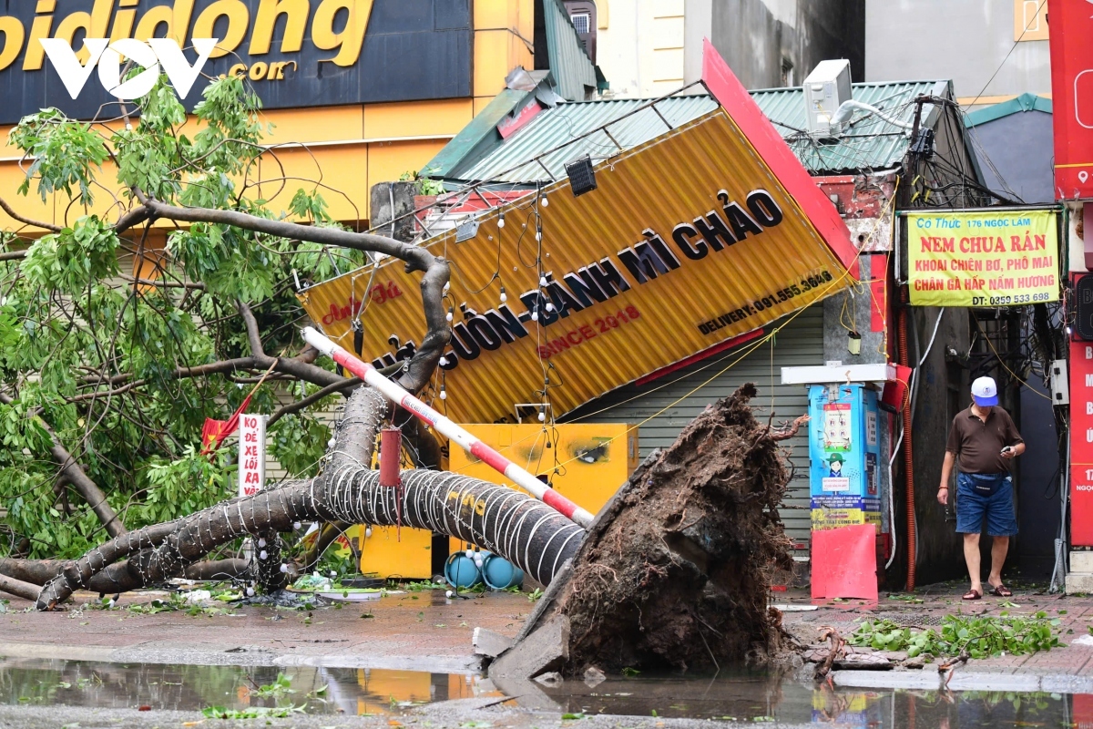 yagi weakens into tropical depression, death toll rises to 14 in northern vietnam picture 2