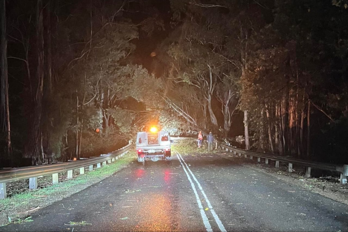 Mưa lớn khiến hàng chục nghìn người Australia không có điện sinh hoạt