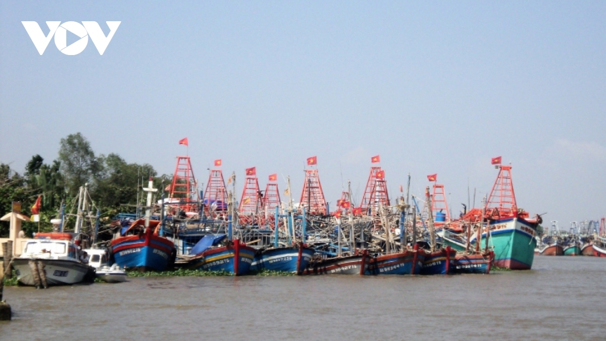 Nam Định và Ninh Bình cấm biển, chủ động ứng phó với cơn bão số 3