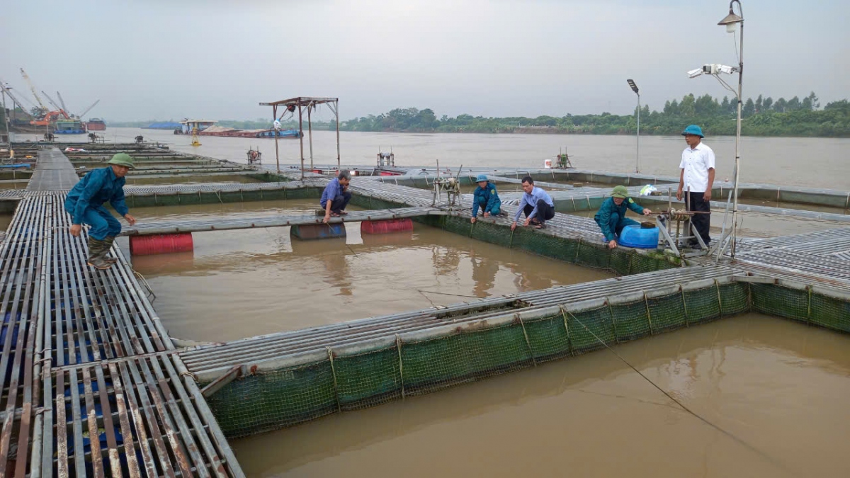 thai binh yeu cau dung tat ca cac cuoc hop de phong chong bao so 3 hinh anh 3