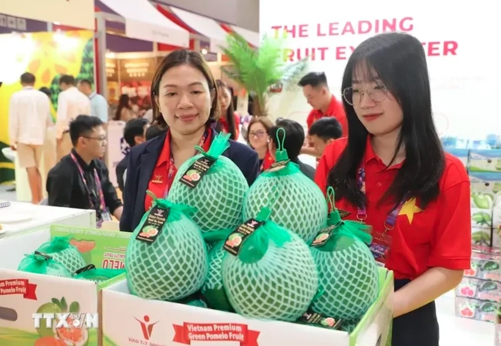 vietnamese vegetables, fruits promoted at asia fruit logistica picture 1