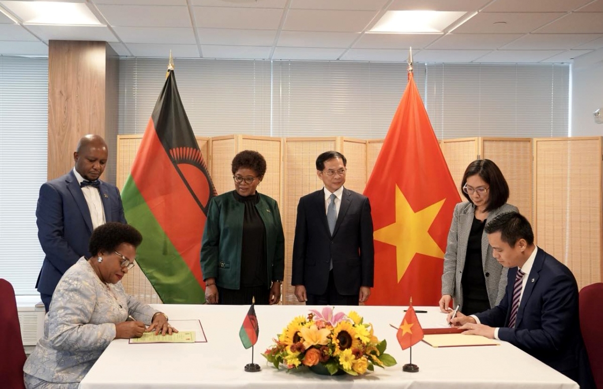 vietnam and malawi establish diplomatic relations picture 1