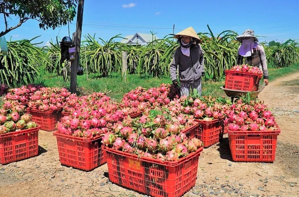 vietnam-china trade turnover hits nearly us 130.8 billion picture 1