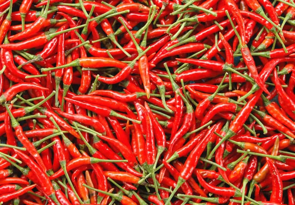 eight-month chili exports to us market skyrocket picture 1