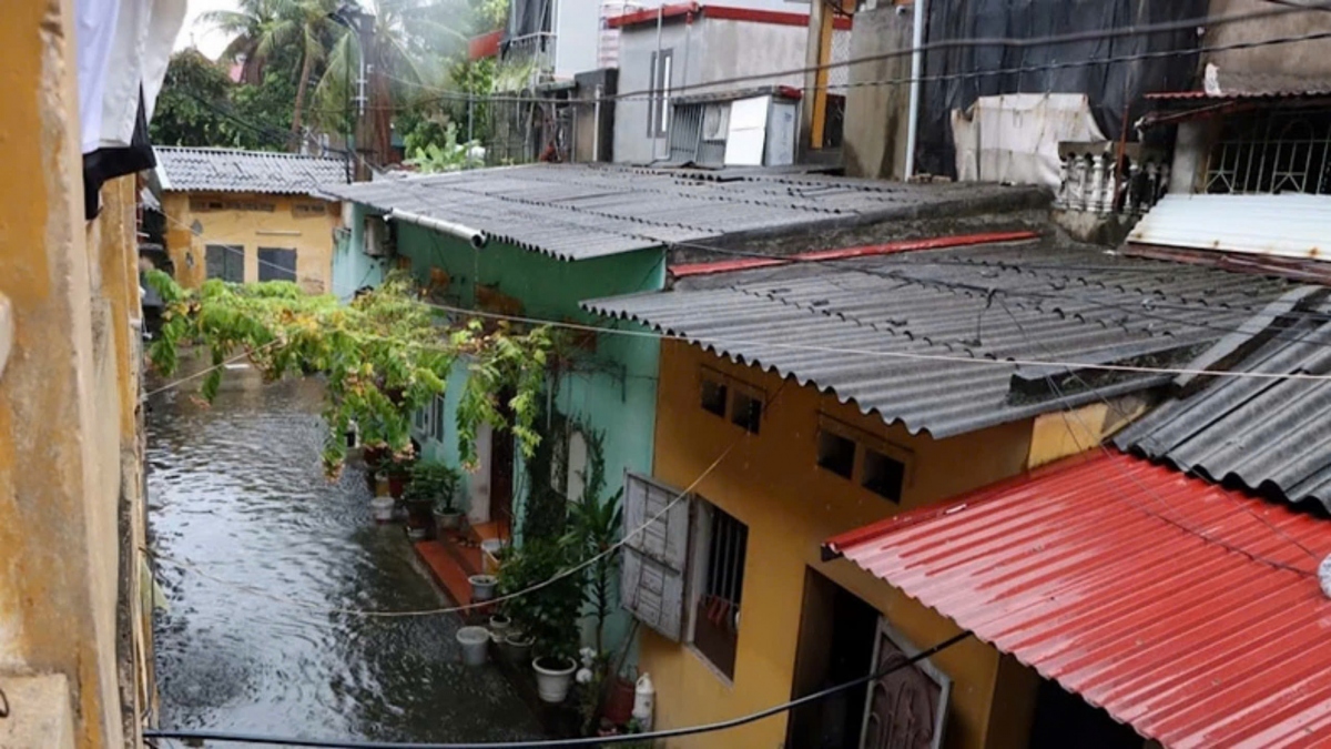 bao so 3 do bo lam cay xanh bat goc, mai nha tro khung o bac ninh, bac giang hinh anh 7