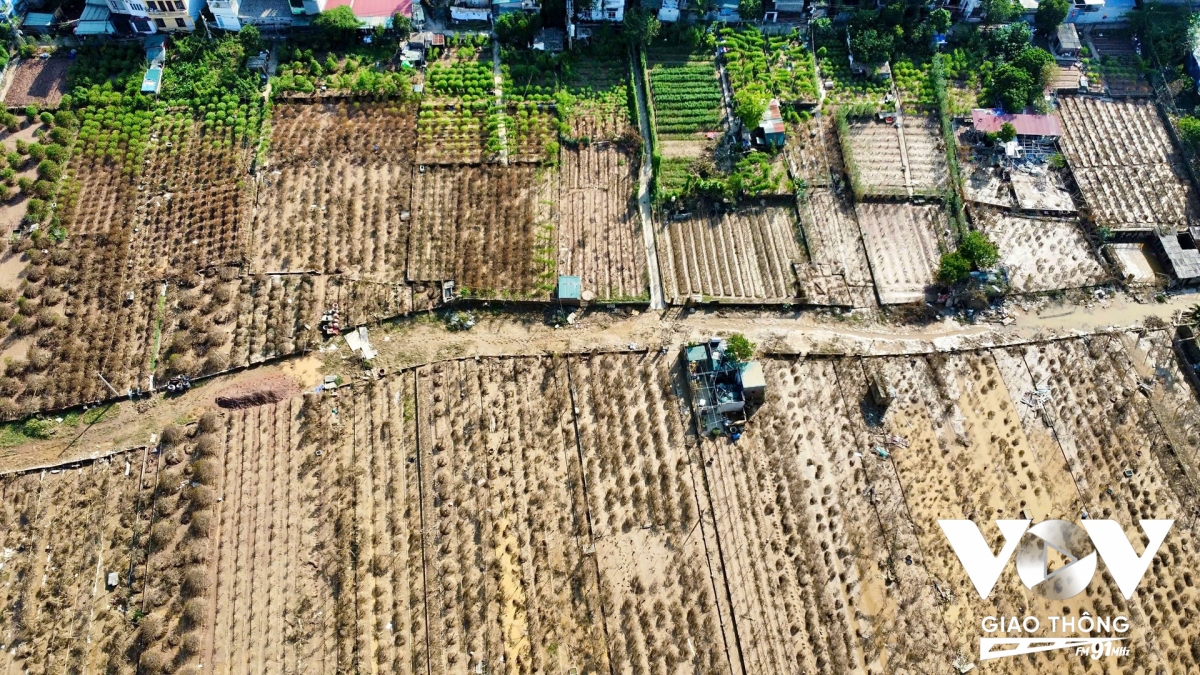 Hỗ trợ hồi phục sau mưa bão ngập lụt chính sách phải thật khẩn trương